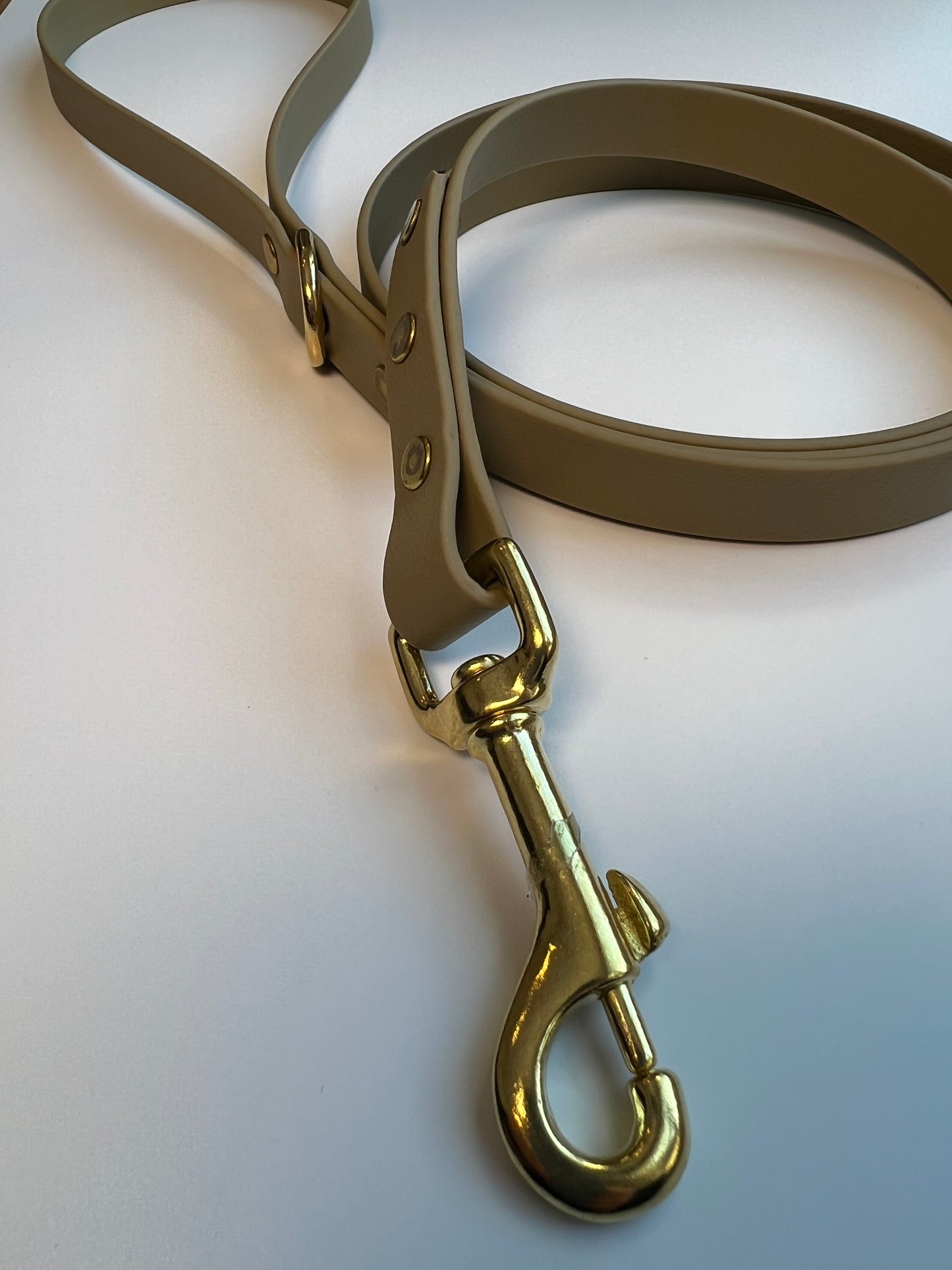 Classic Biothane Leash Sahara Tan