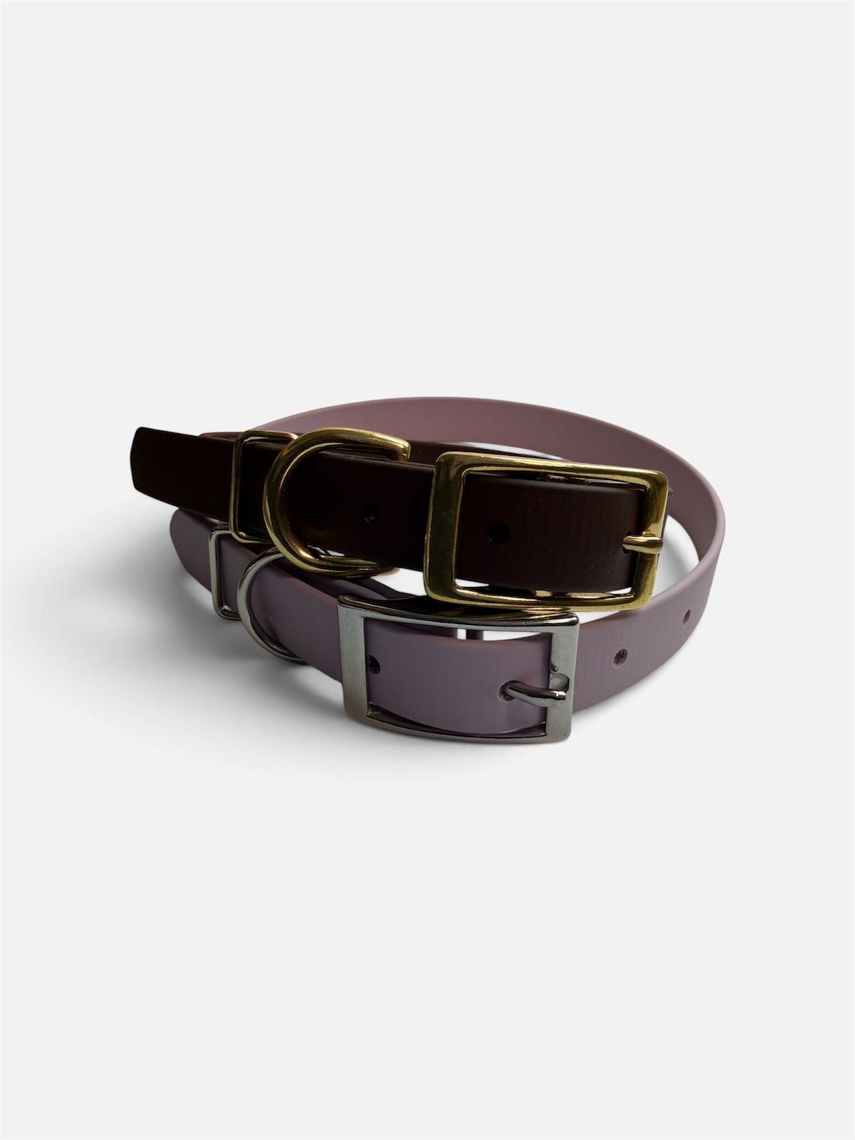 Traditional Buckle Collar 3/4"
