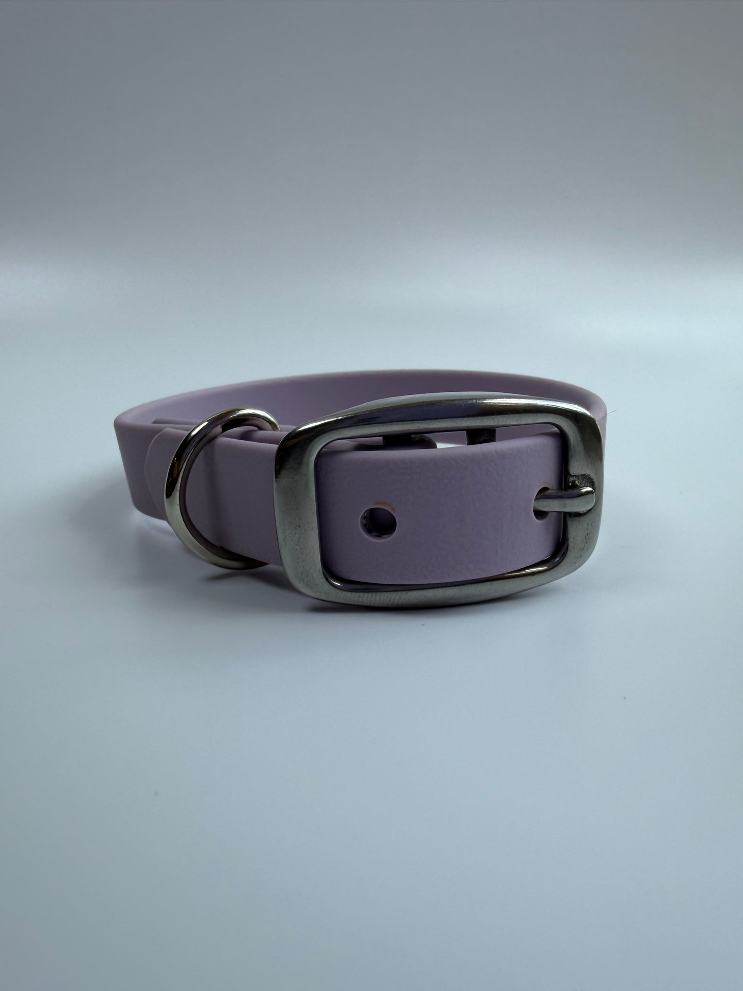 Traditional Buckle Collar 5/8"