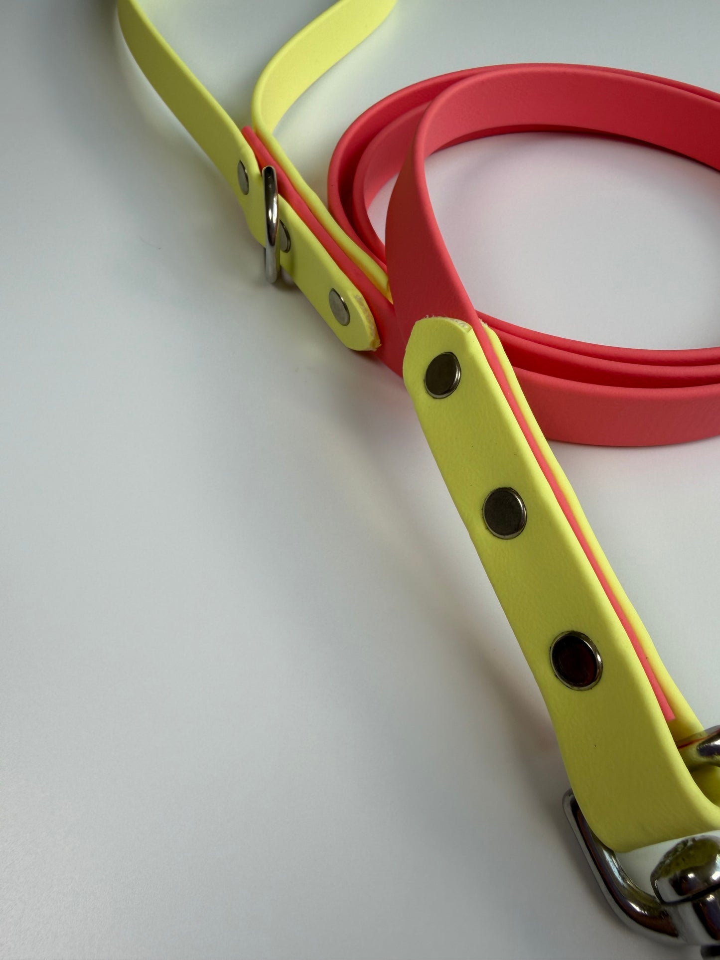 Two-tone Biothane Leash Coral and Lemonade