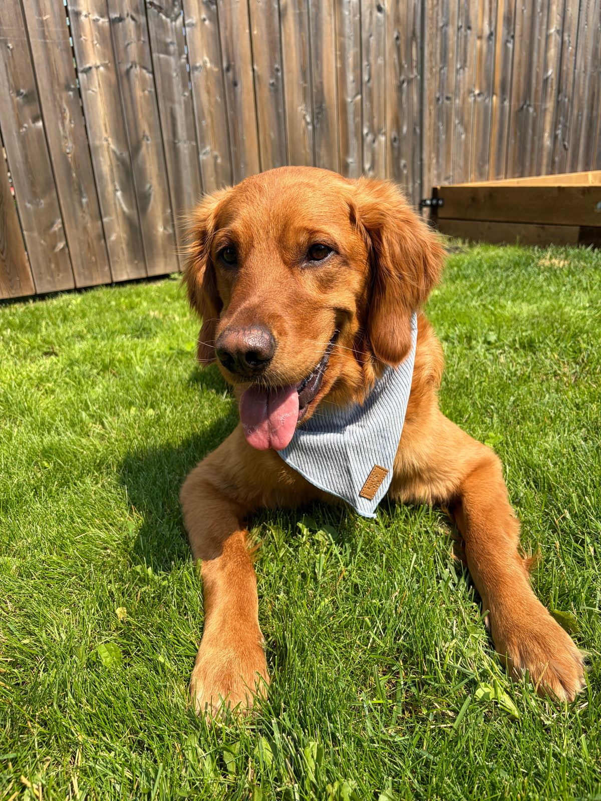 Corduroy Bandana