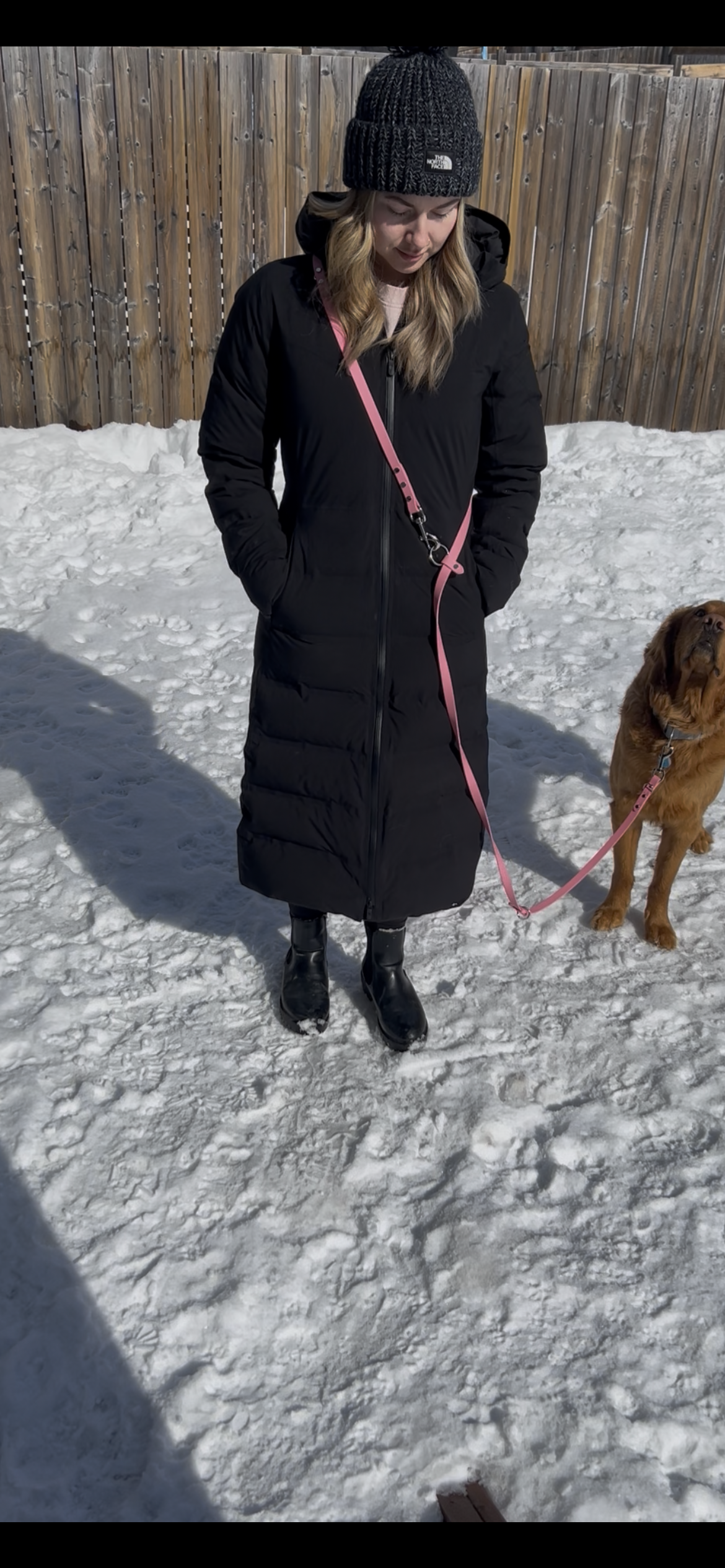 Hands-Free All-in-One Biothane Leash Bubblegum Pink