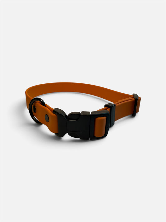 Fall Collection Quick Release Collar 3/4”
