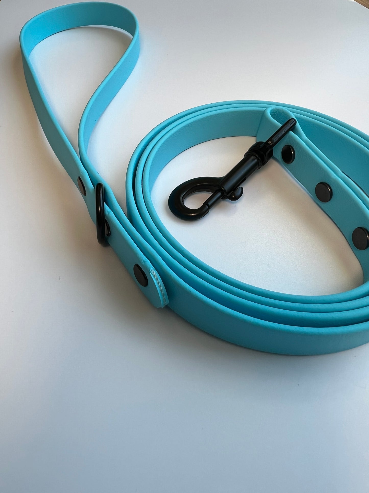 Classic Biothane Leash Baby Blue