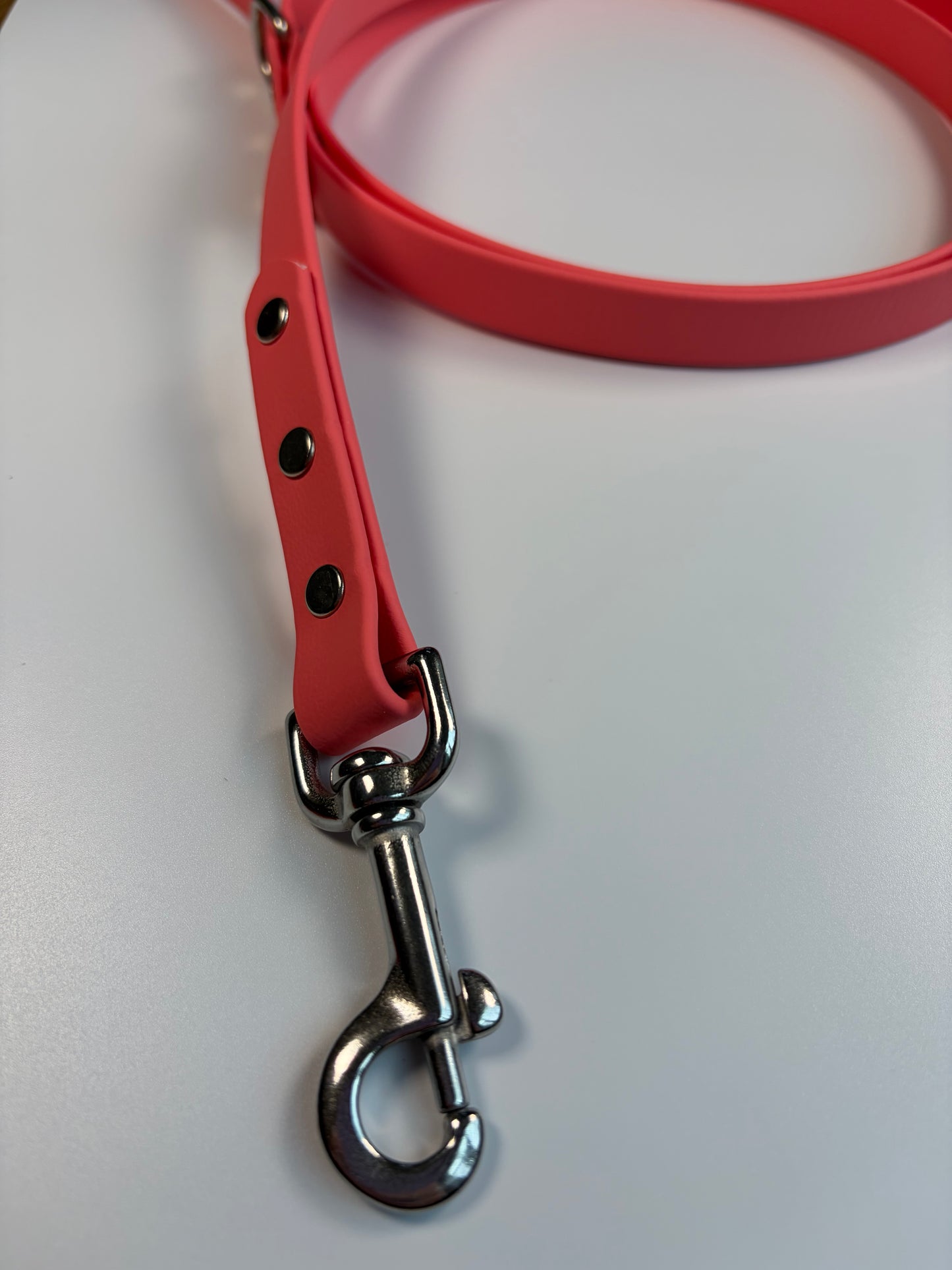 Classic Biothane Leash Coral (Seasonal Color)