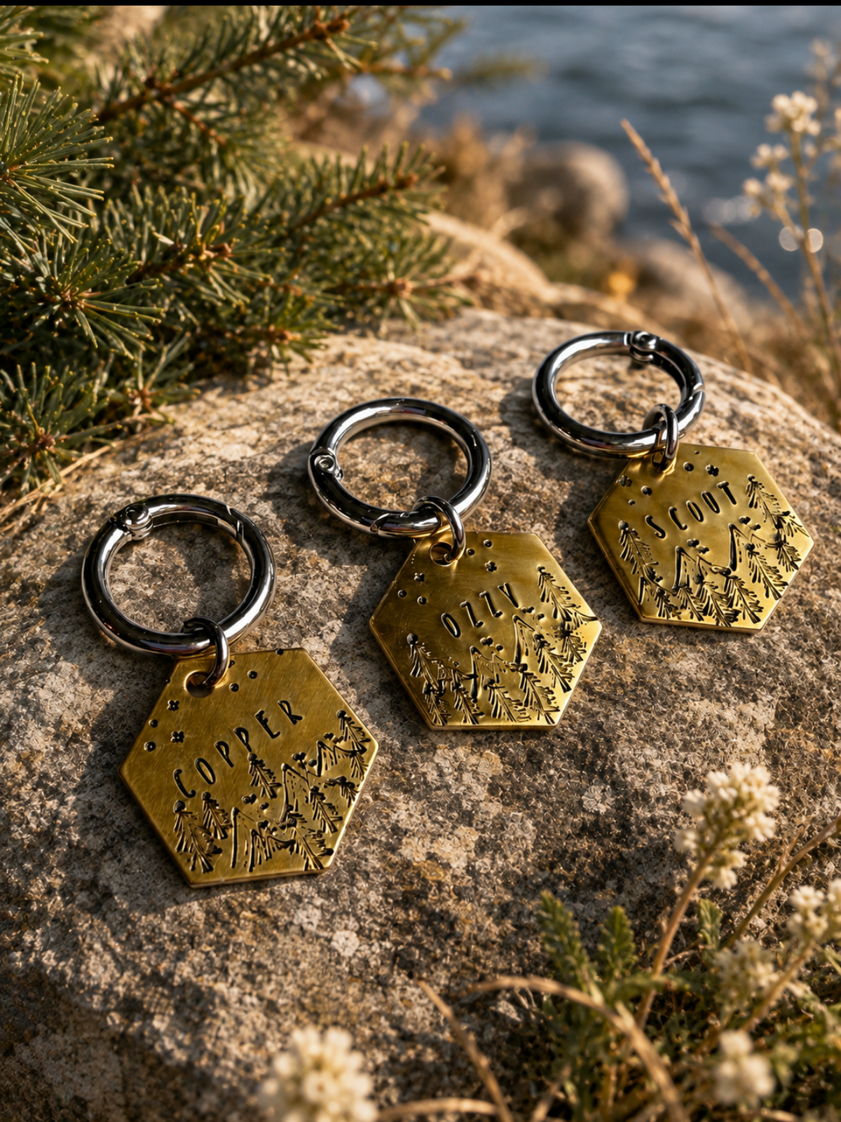 Custom Pet Tag