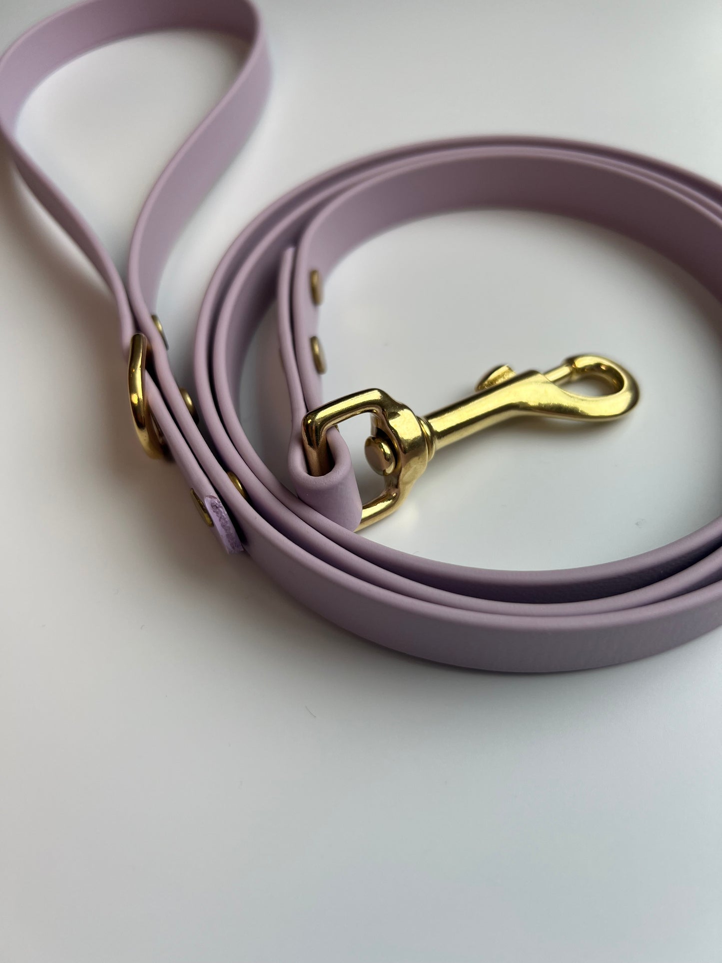 Classic Biothane Leash Lavender