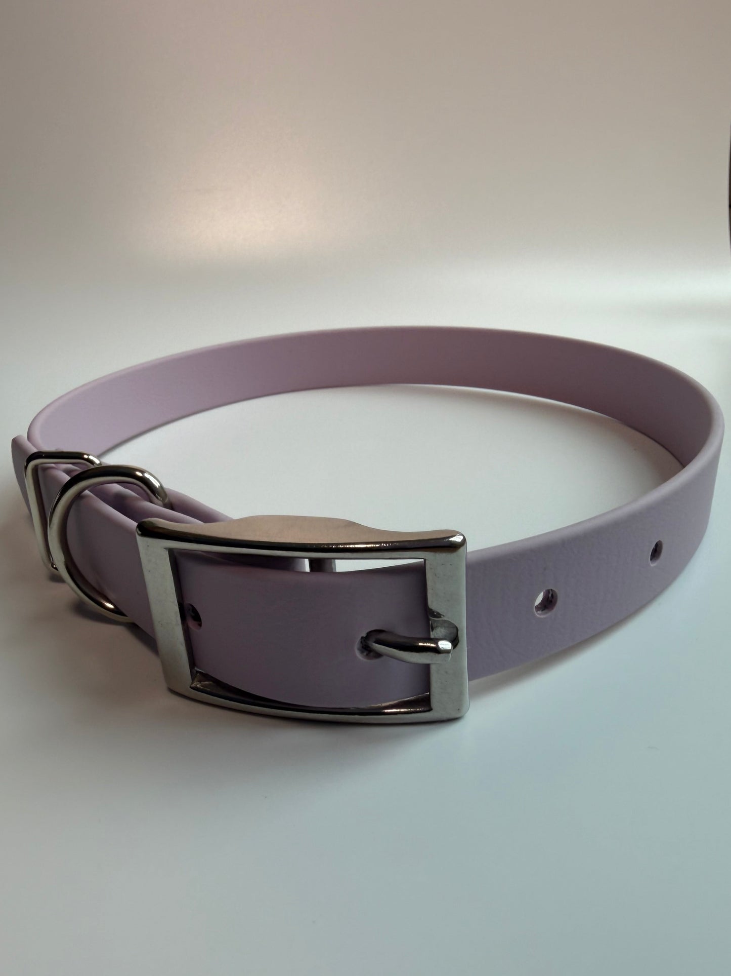 Traditional Buckle Collar 3/4"