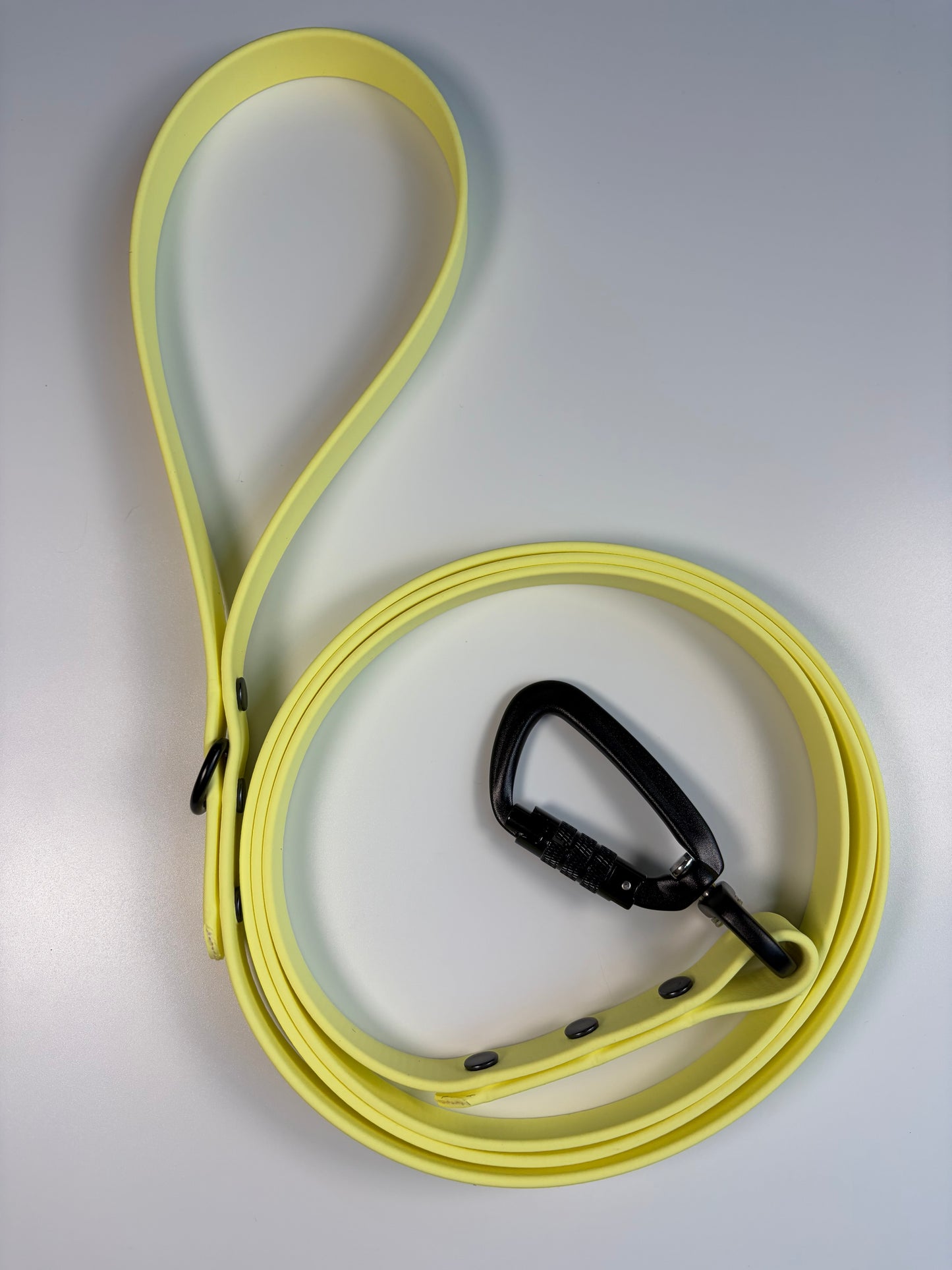 Classic Biothane Leash Lemonade (Seasonal Color)
