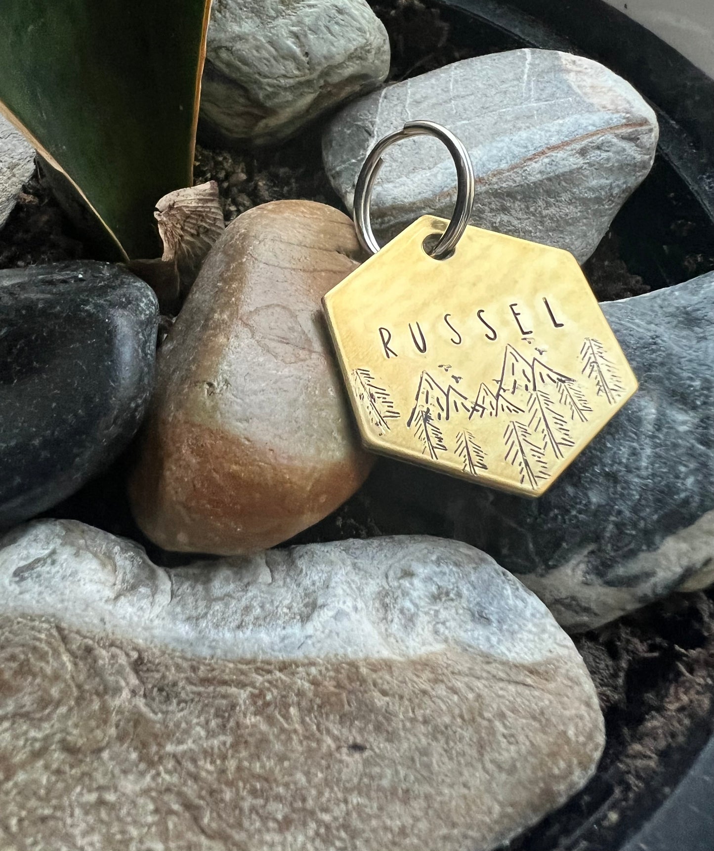 Custom Pet Tag