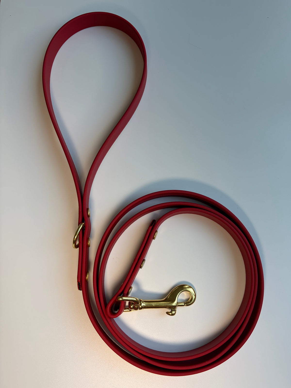 Classic Biothane Leash Cranberry