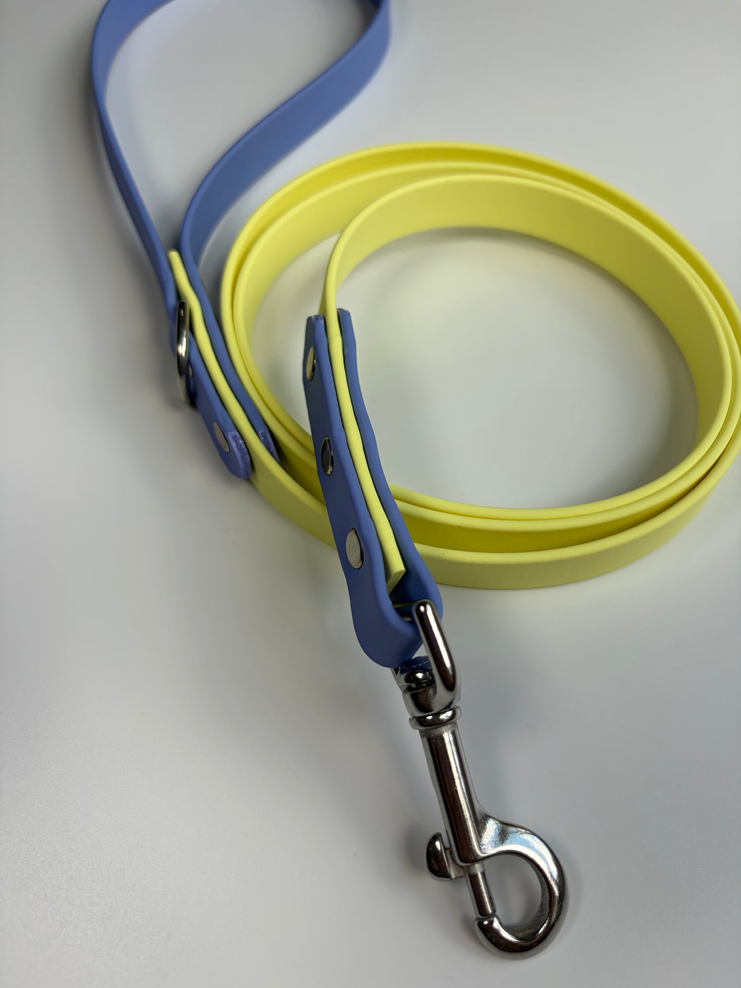 Two-tone Biothane Leash Lemonade and Periwinkle