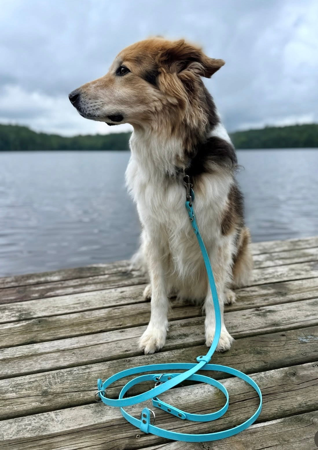 Hands-Free All-in-One Biothane Leash Baby Blue