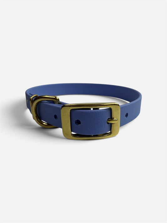 Traditional Buckle Collar 5/8"
