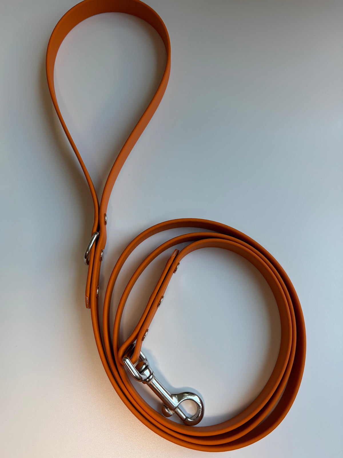 Classic Biothane Leash Pumpkin