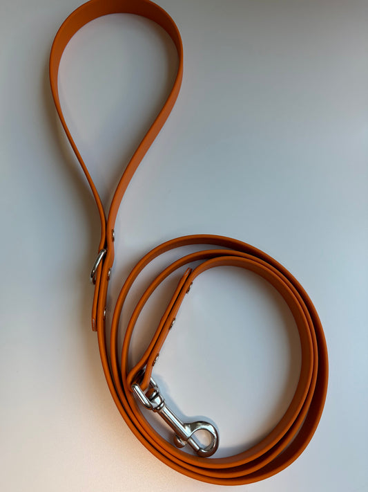 Classic Biothane Leash Pumpkin