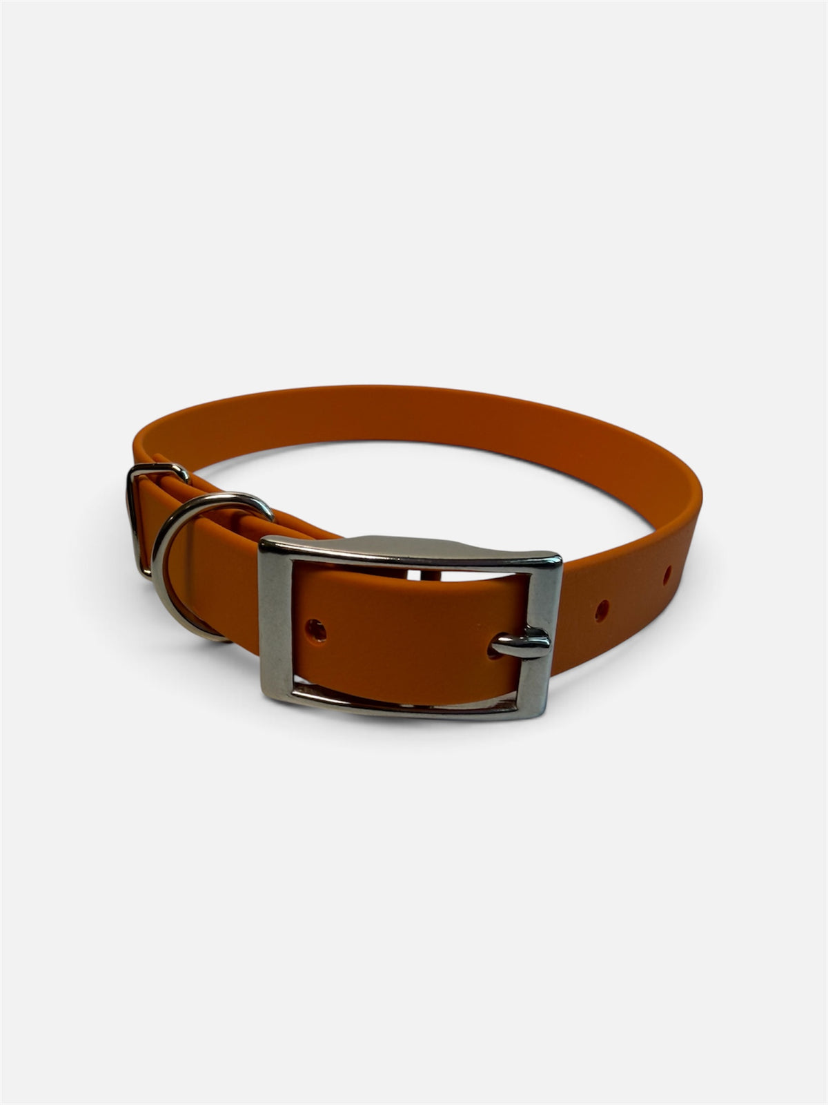 Fall Collection Traditional Buckle Collar 3/4"