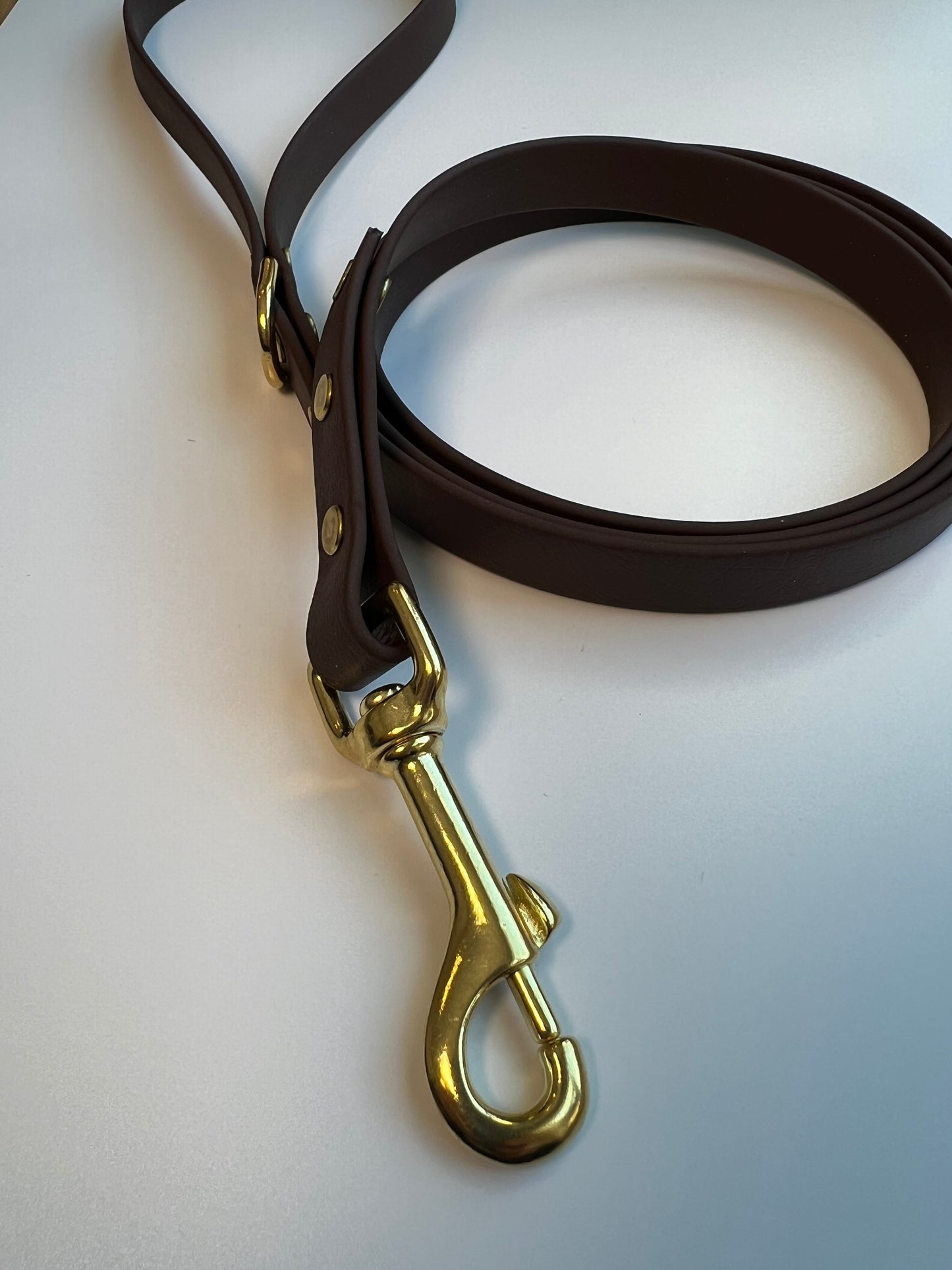 Classic Biothane Leash Dark Brown
