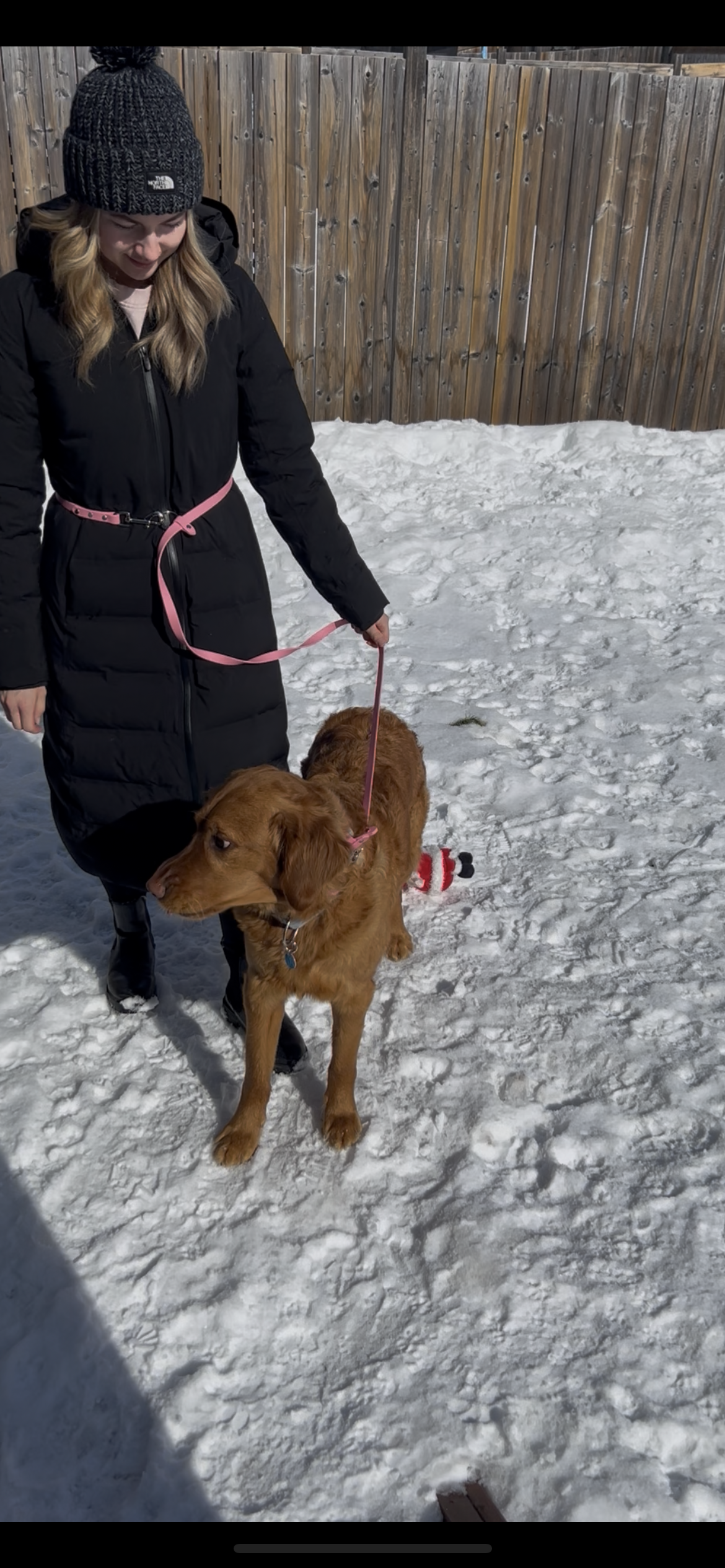 Hands-Free All-in-One Biothane Leash Bubblegum Pink