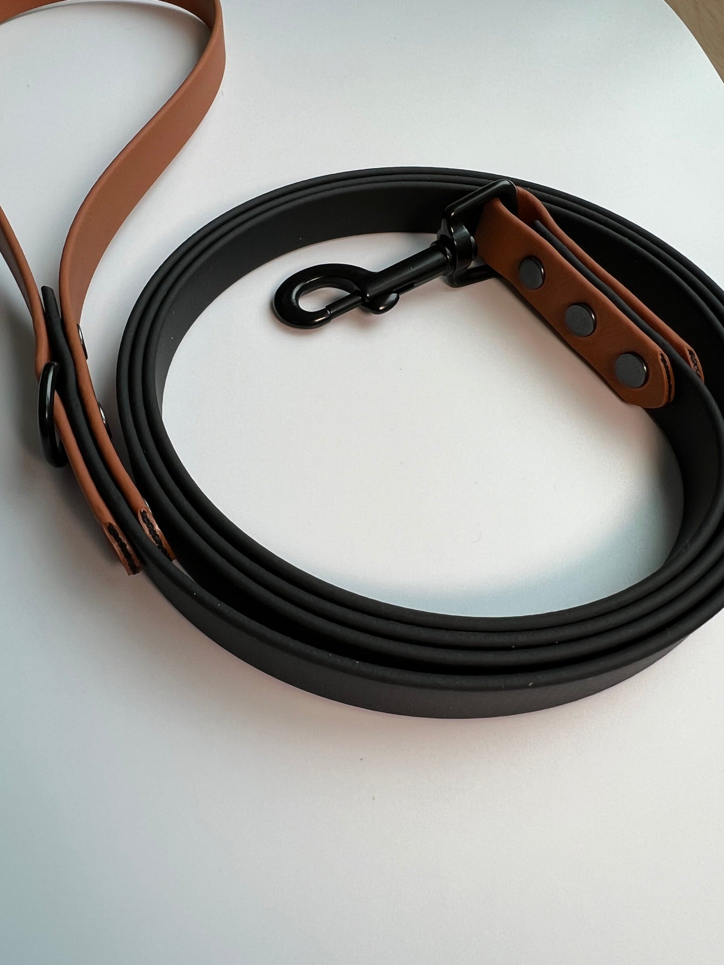 Two-tone Biothane Leash Black and Tan