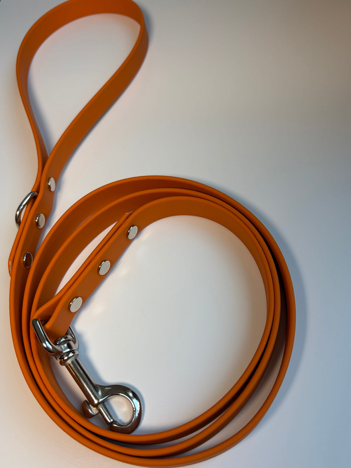 Classic Biothane Leash Pumpkin