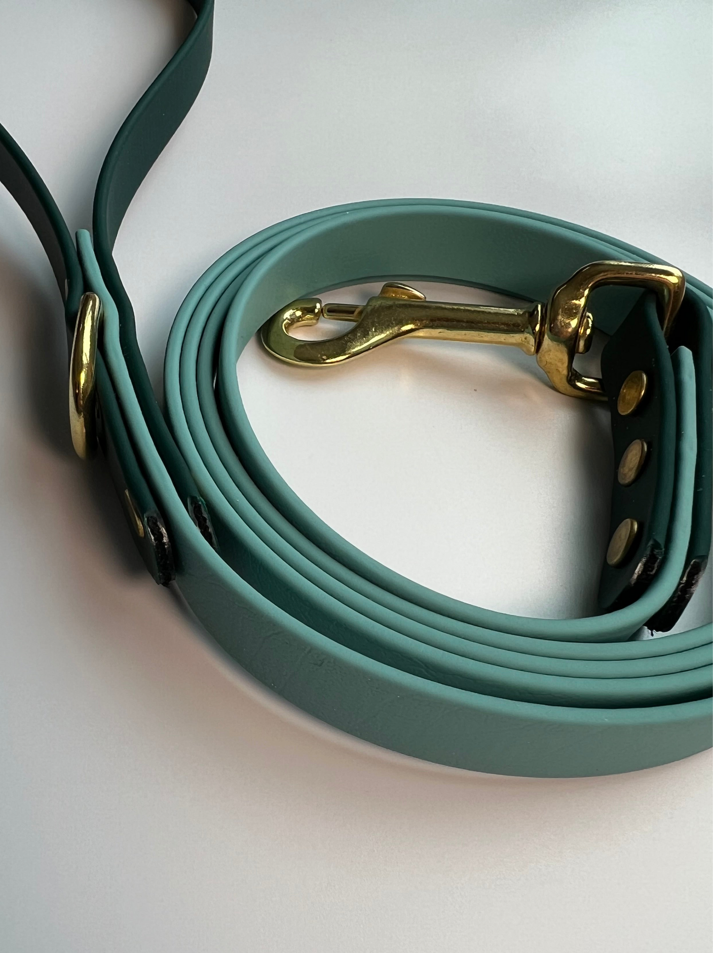 Two-tone Biothane Leash Teal and Hunter Green