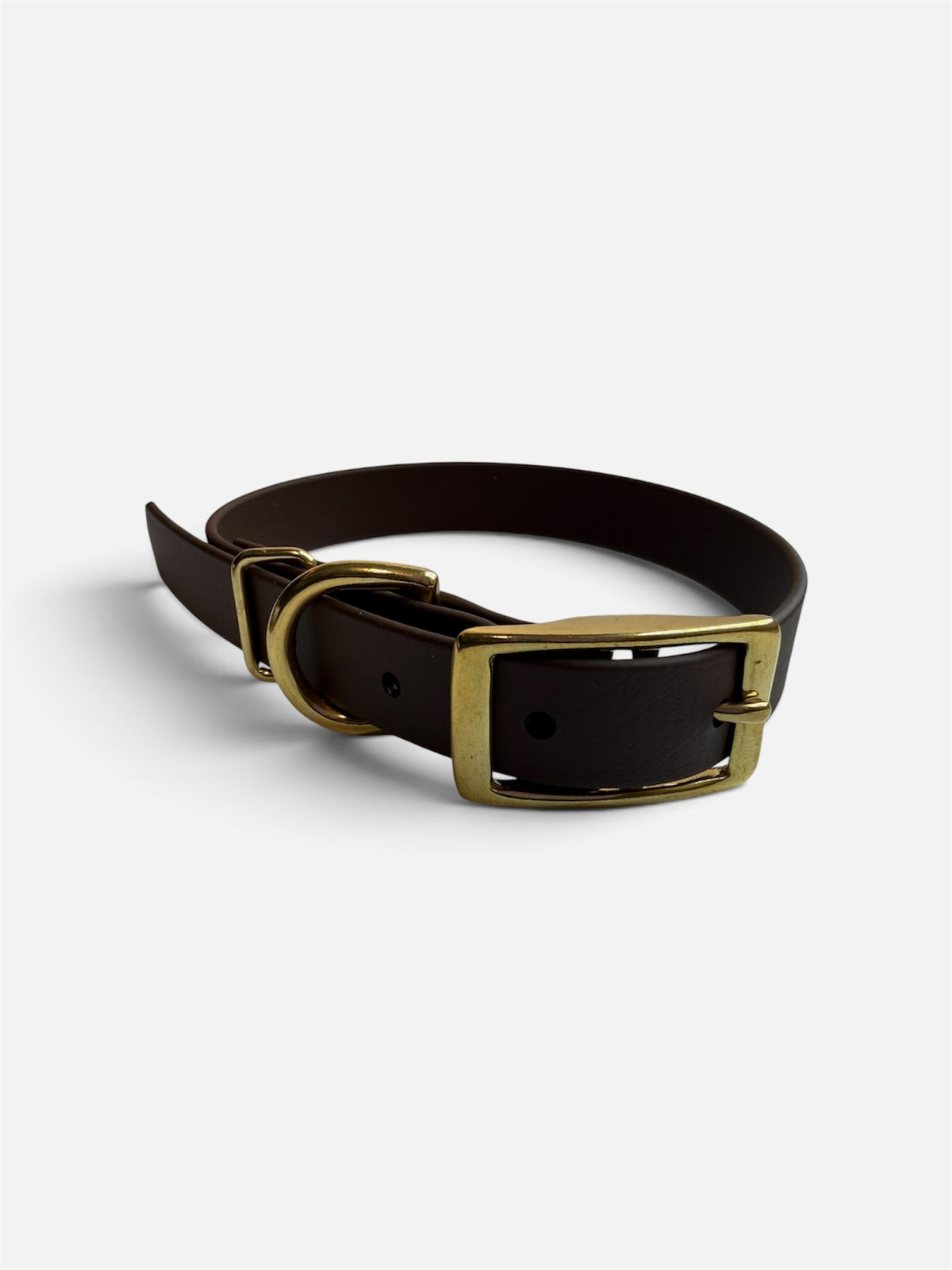 Traditional Buckle Collar 3/4"