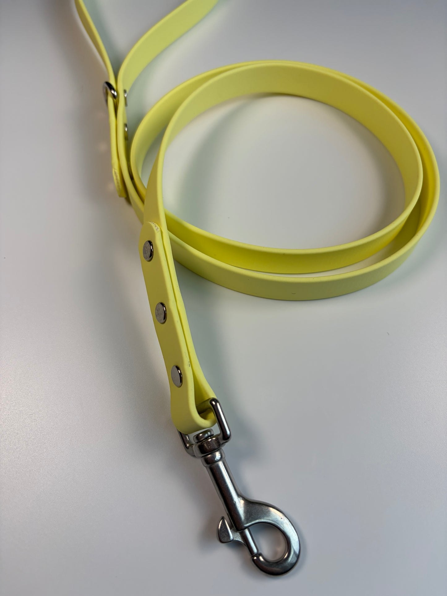 Classic Biothane Leash Lemonade (Seasonal Color)