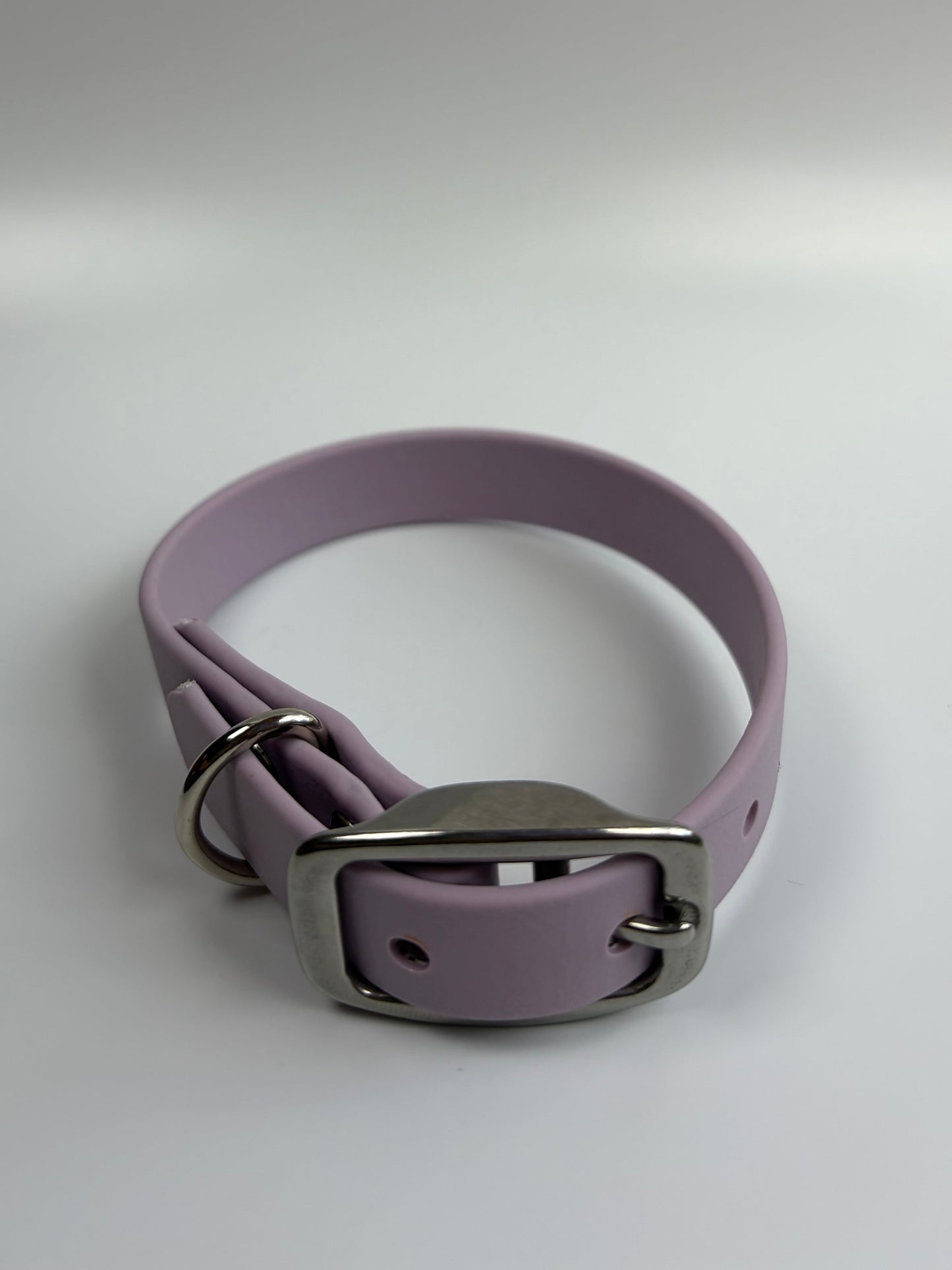 Traditional Buckle Collar 5/8"