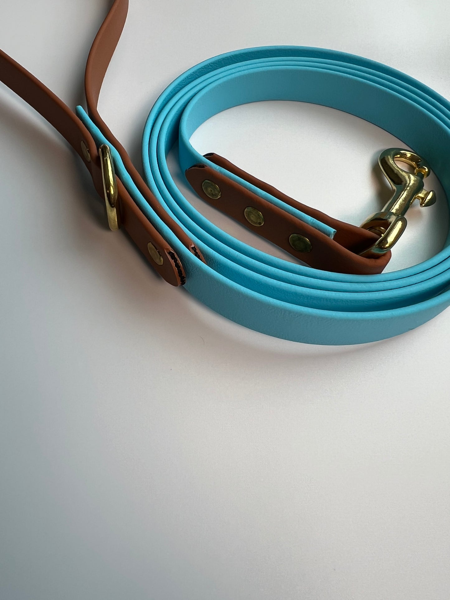 Two-tone Biothane Baby Blue and Tan