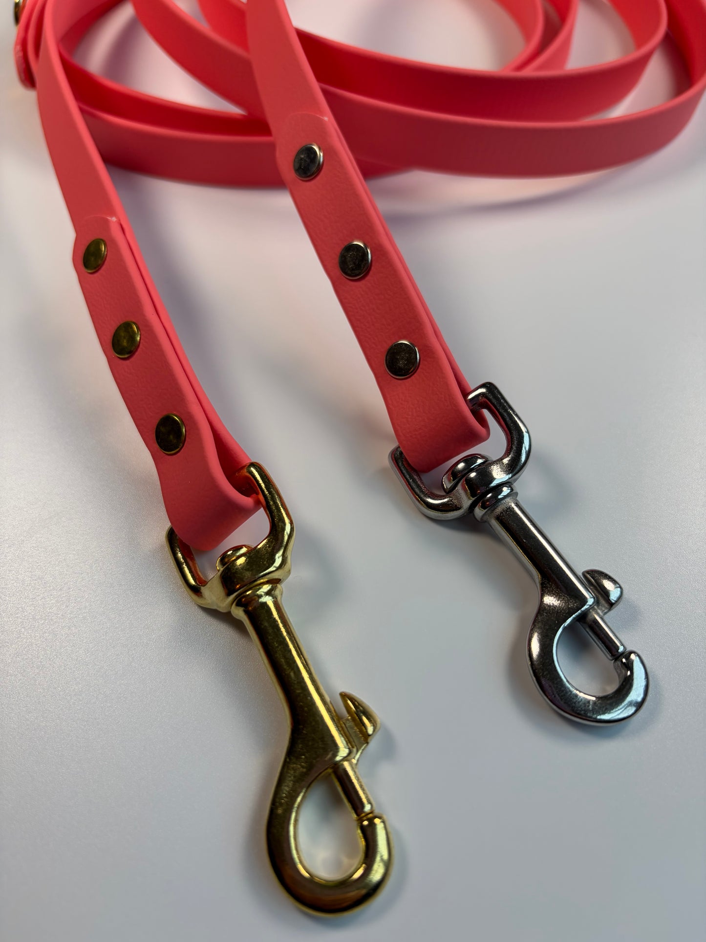 Classic Biothane Leash Coral (Seasonal Color)