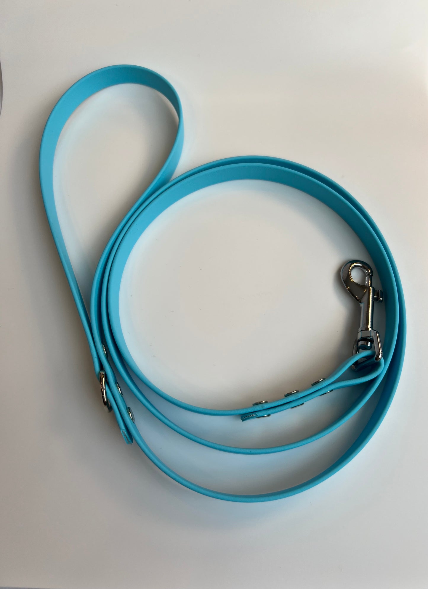 Classic Biothane Leash Baby Blue