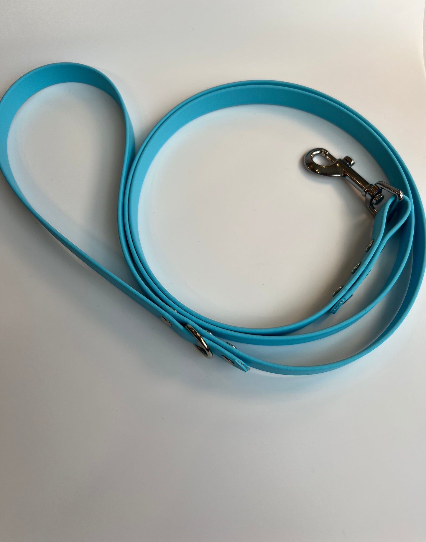 Classic Biothane Leash Baby Blue