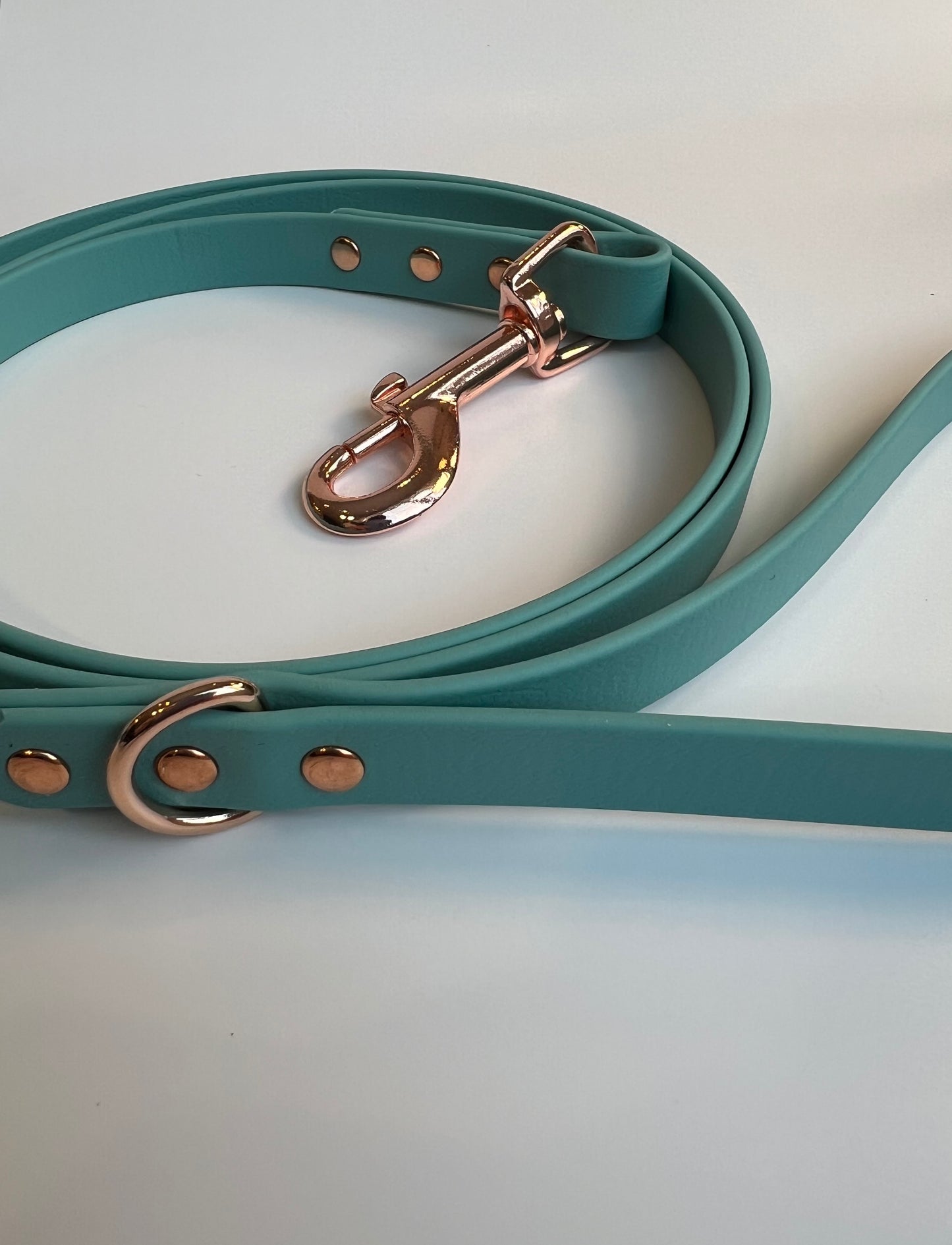 Classic Biothane Leash Teal