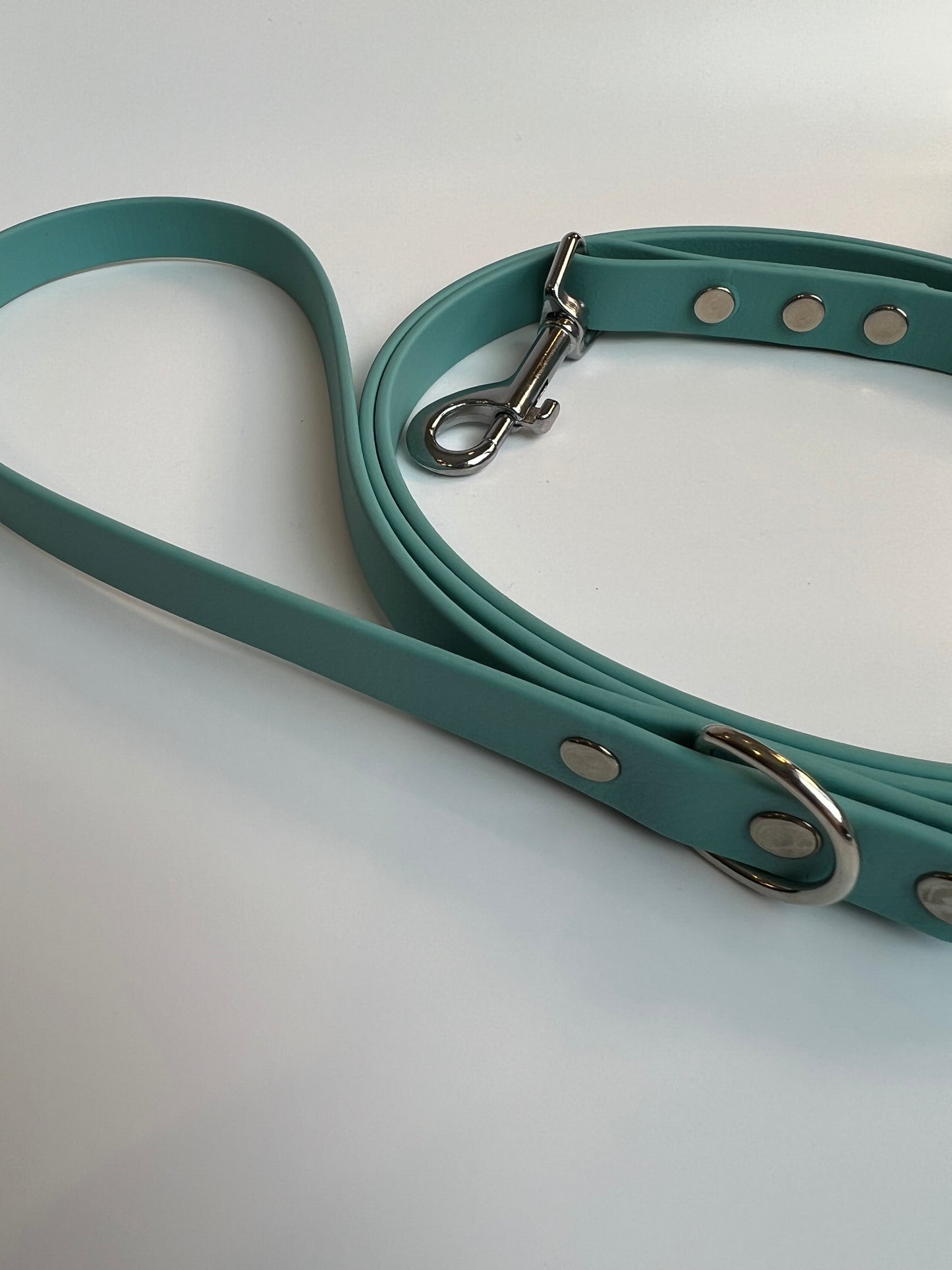 Classic Biothane Leash Teal