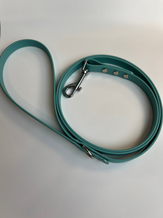 Classic Biothane Leash Teal