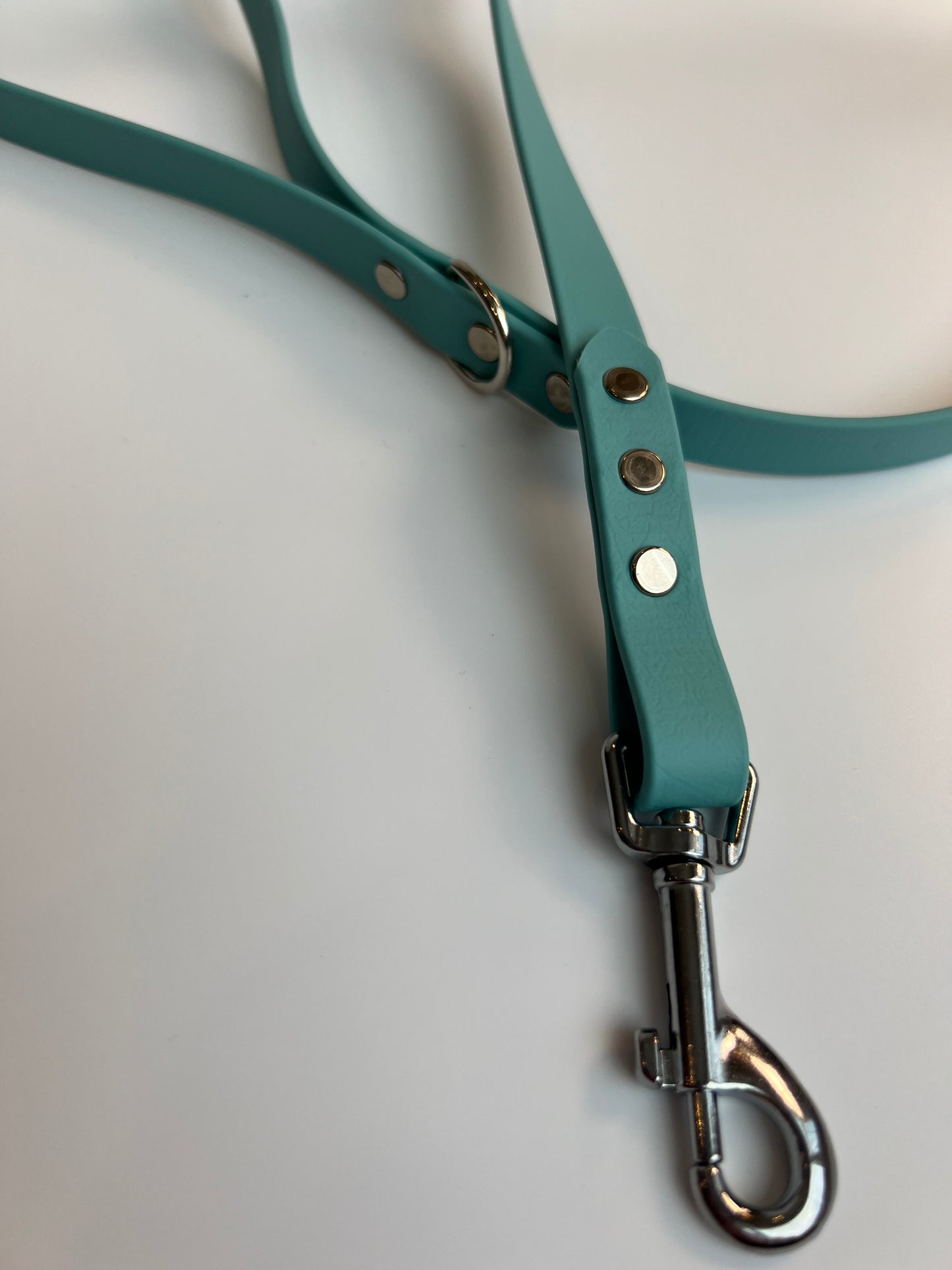 Hands-Free All-in-One Biothane Leash Teal