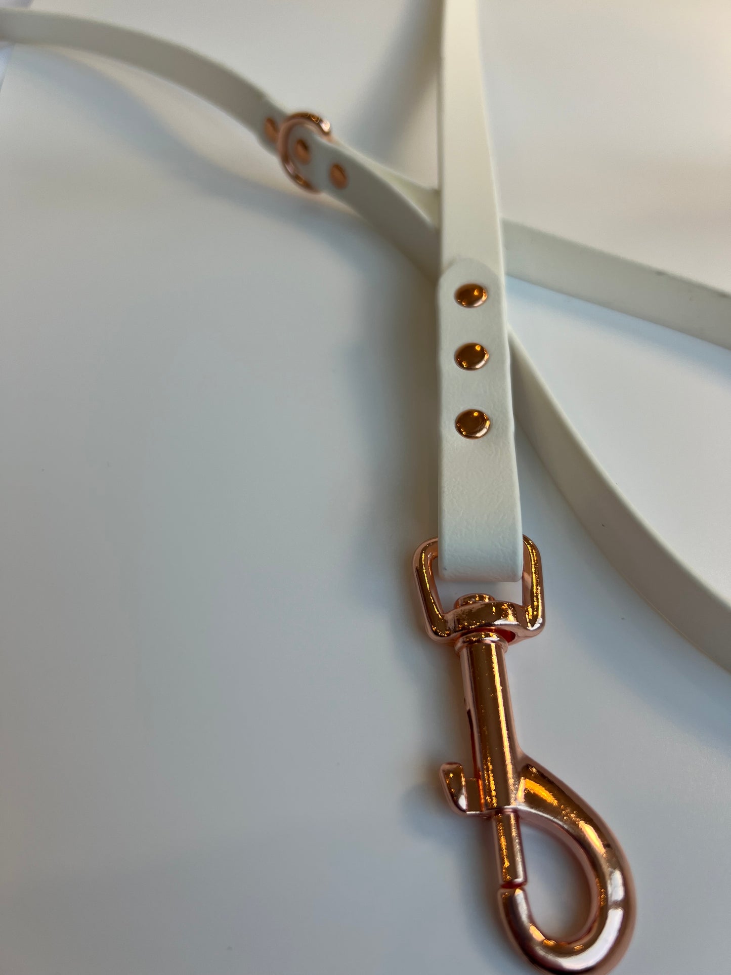 Classic Biothane Leash White