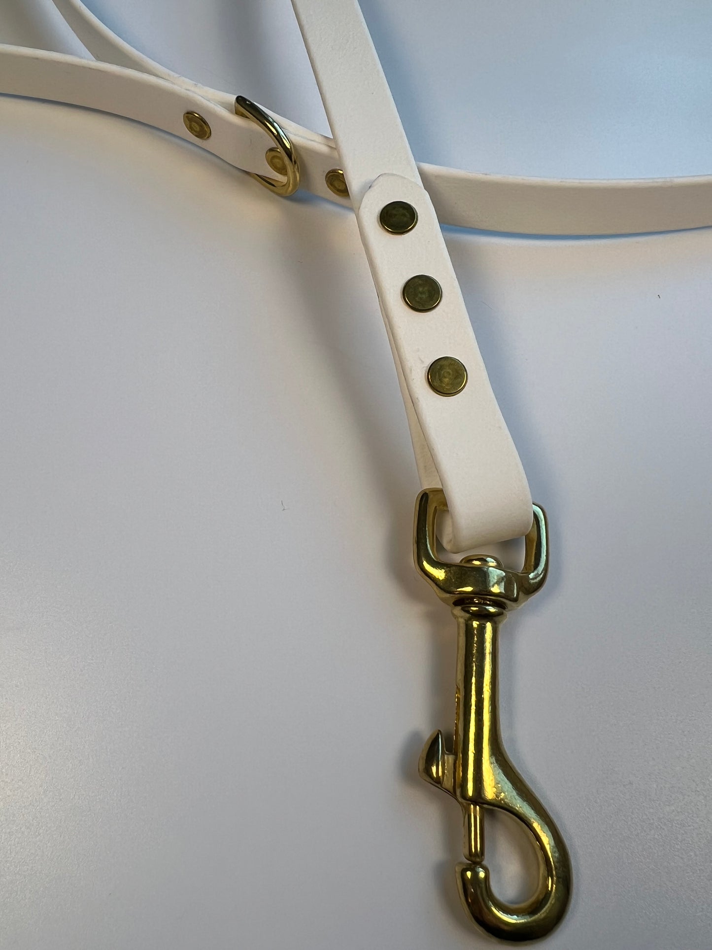 Classic Biothane Leash White