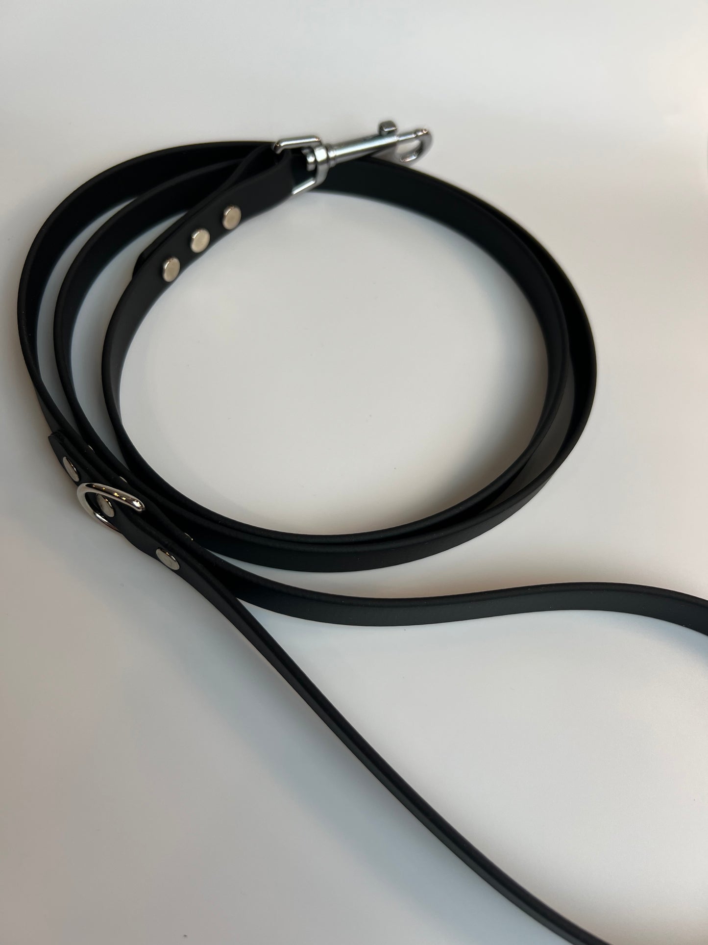 Classic Biothane Leash Black