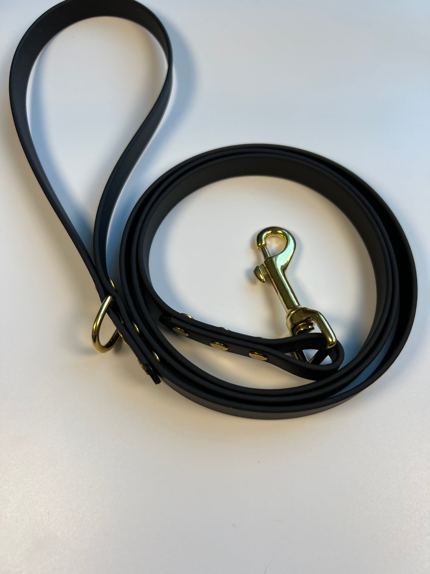 Classic Biothane Leash Black
