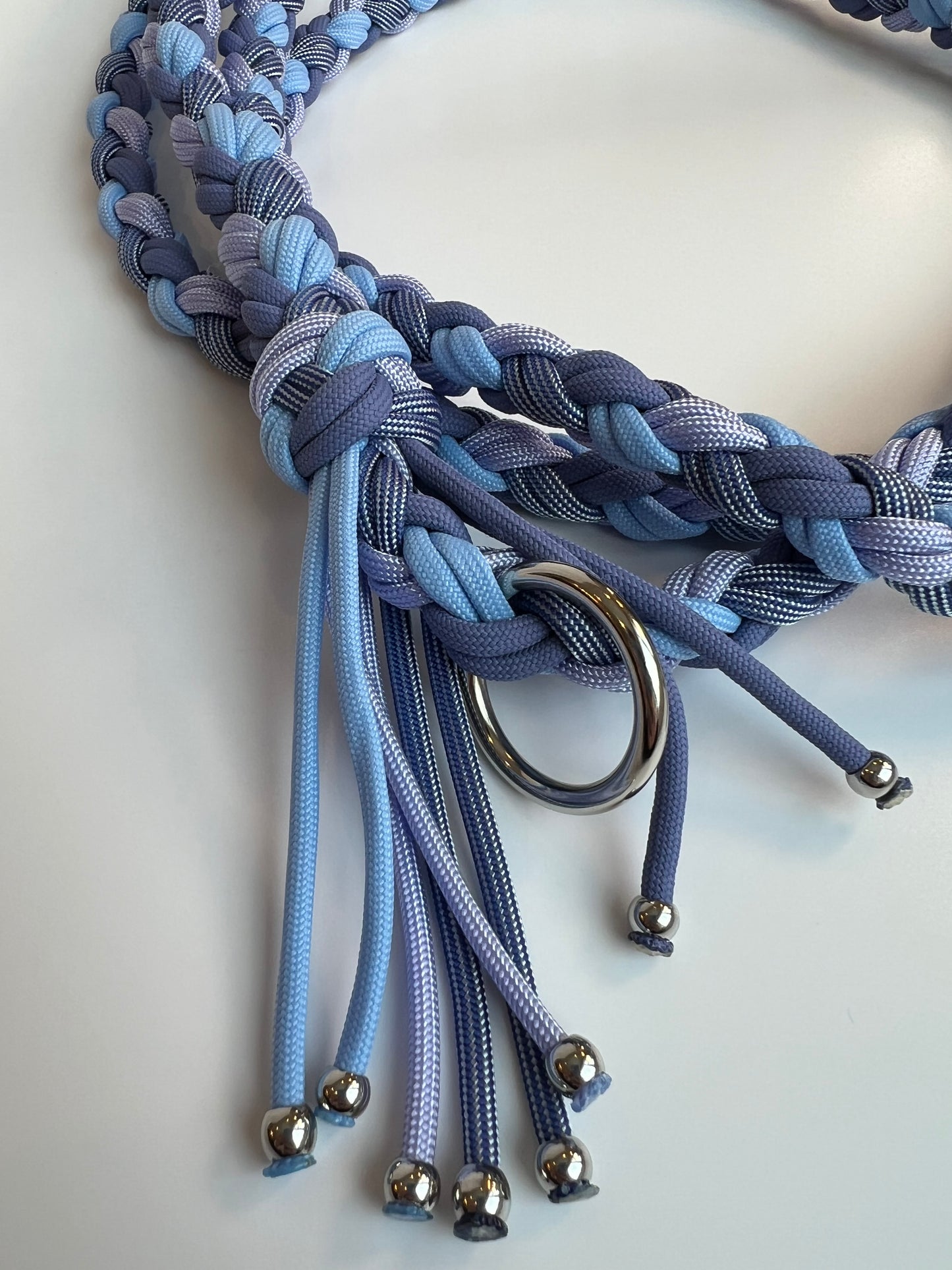 Blueberry Paracord Leash