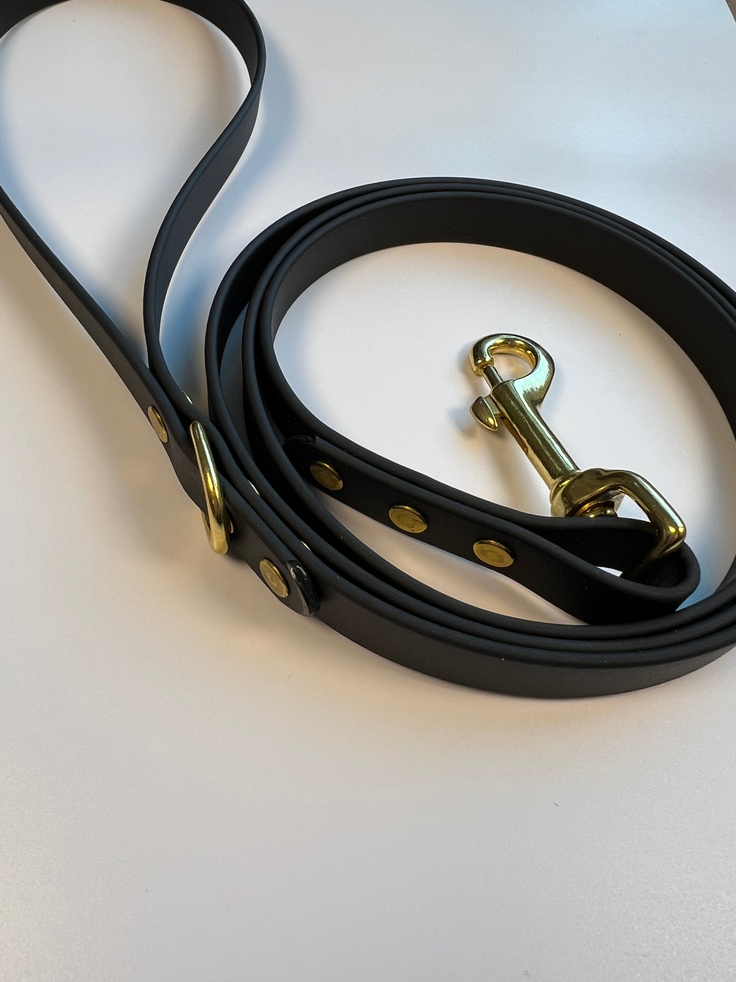 Classic Biothane Leash Black