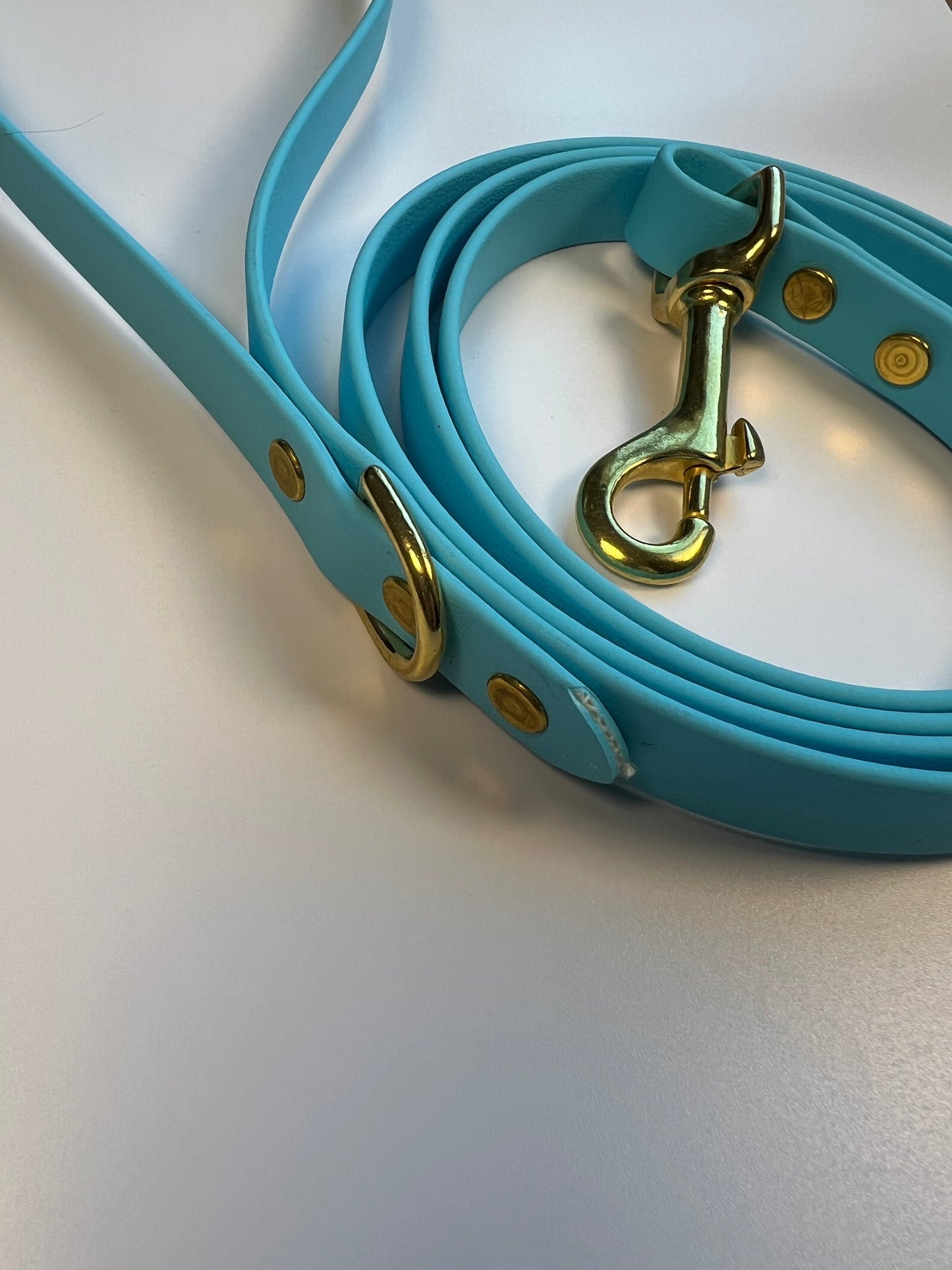 Classic Biothane Leash Baby Blue
