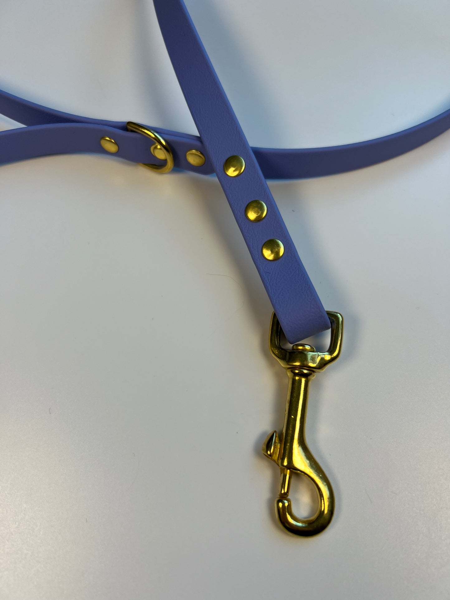 Classic Biothane Leash Periwinkle