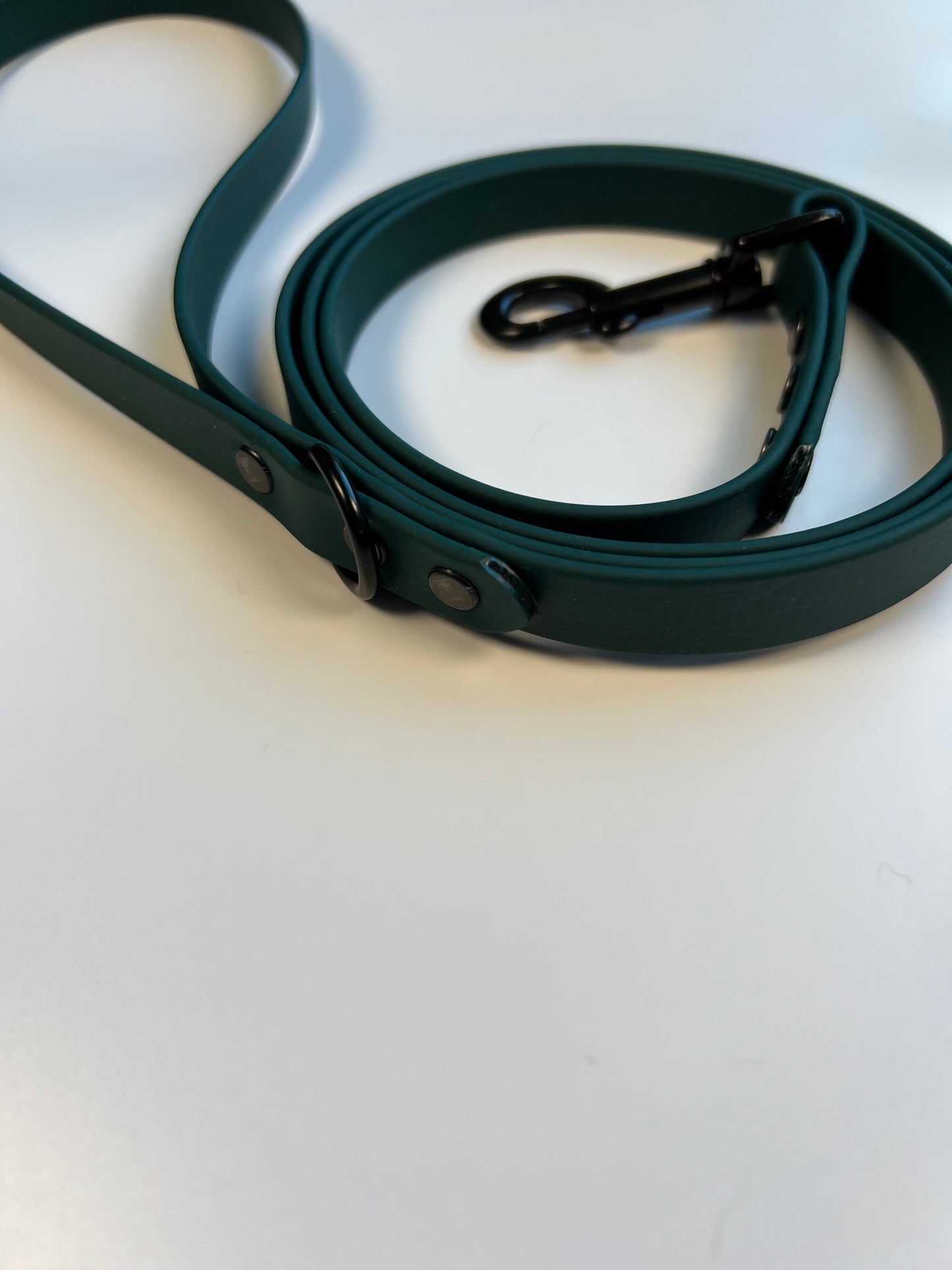 Classic Biothane Leash Hunter Green