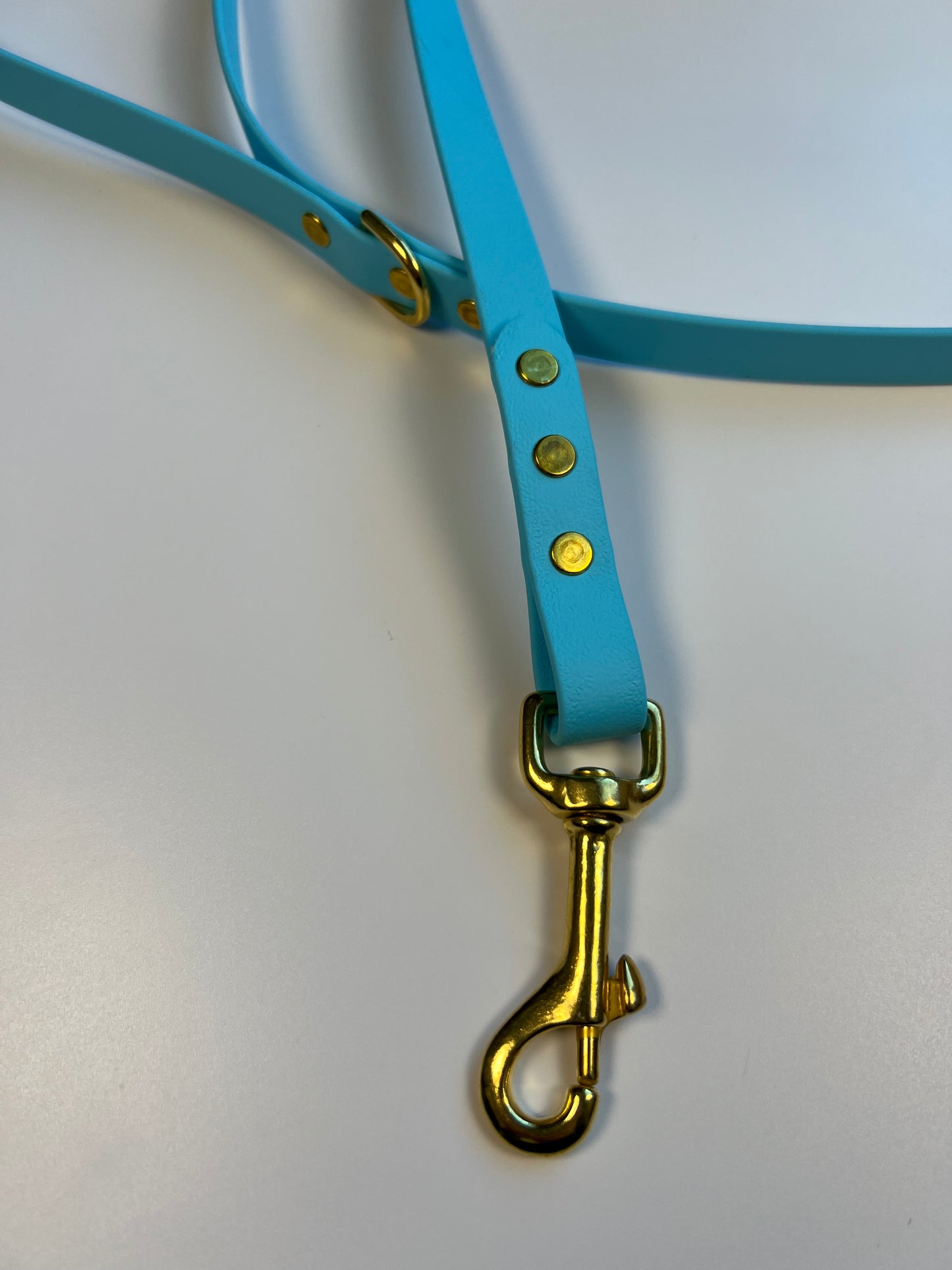 Classic Biothane Leash Baby Blue