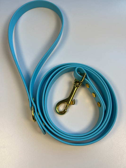 Classic Biothane Leash Baby Blue