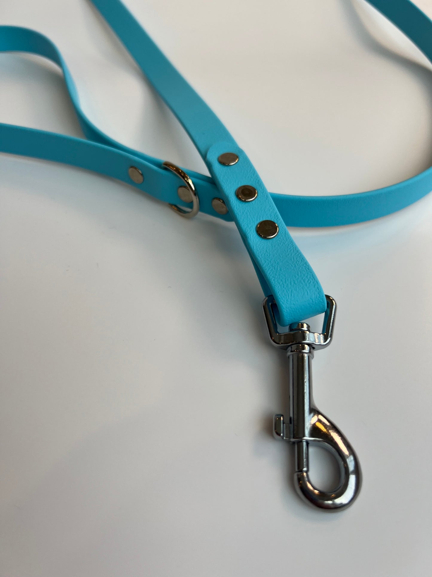 Classic Biothane Leash Baby Blue