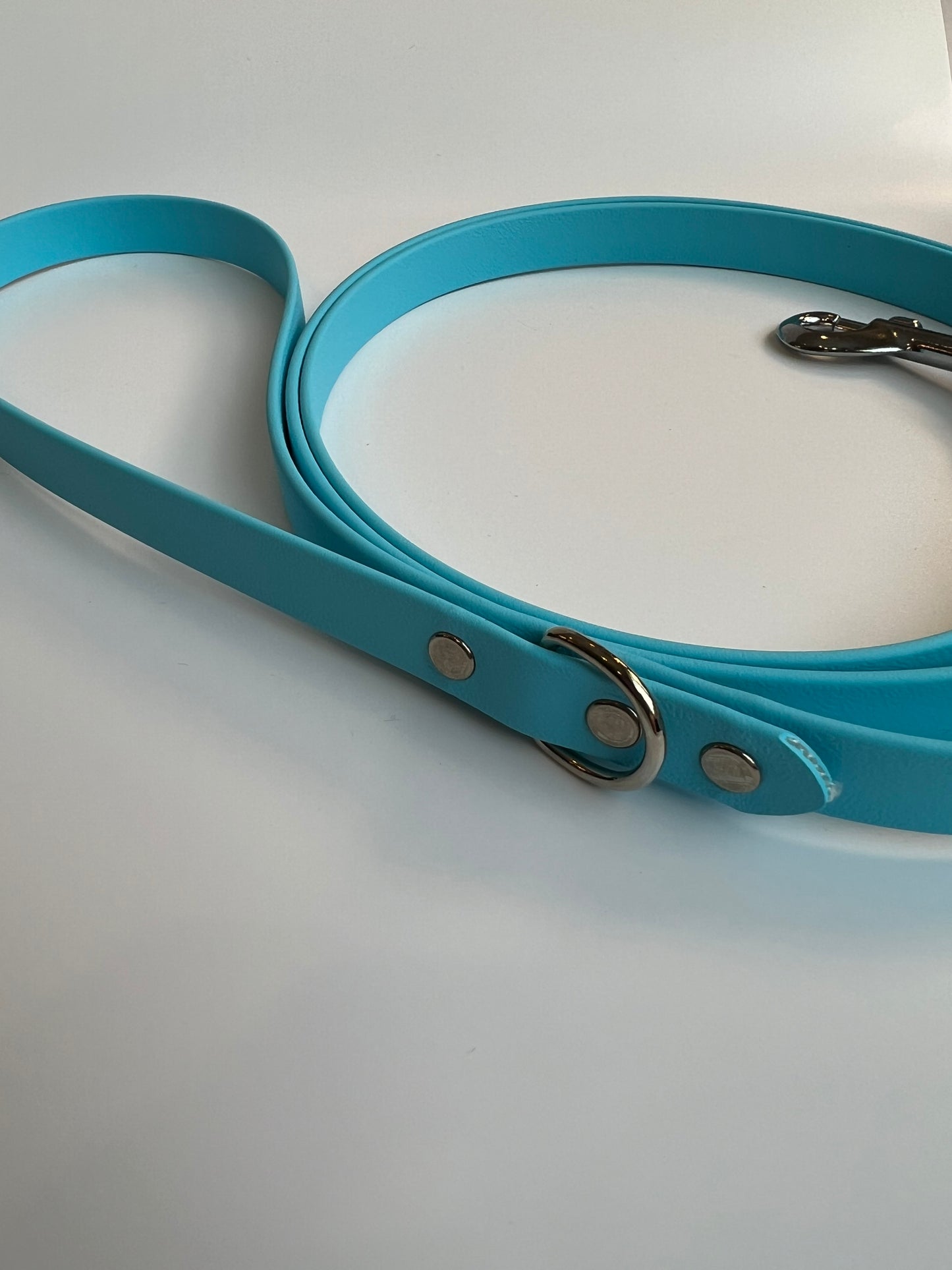Classic Biothane Leash Baby Blue